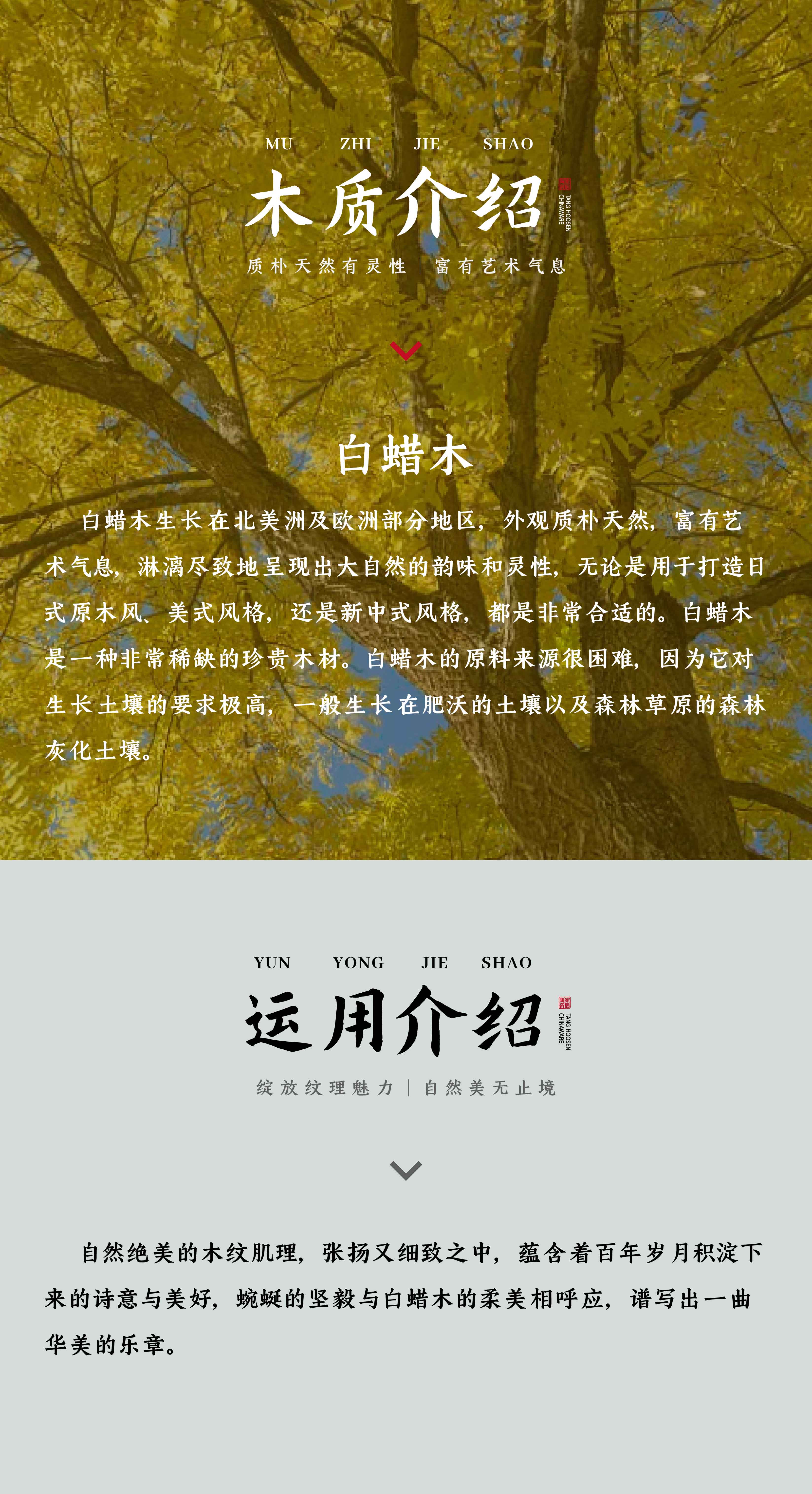 白蜡木·浅灰DGW1525012_画板 1 副本 4.jpg